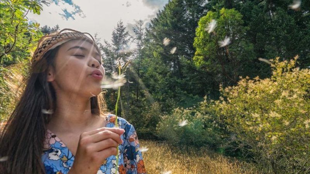 Una niña soplando dientes de león.-EL PERIÓDICO