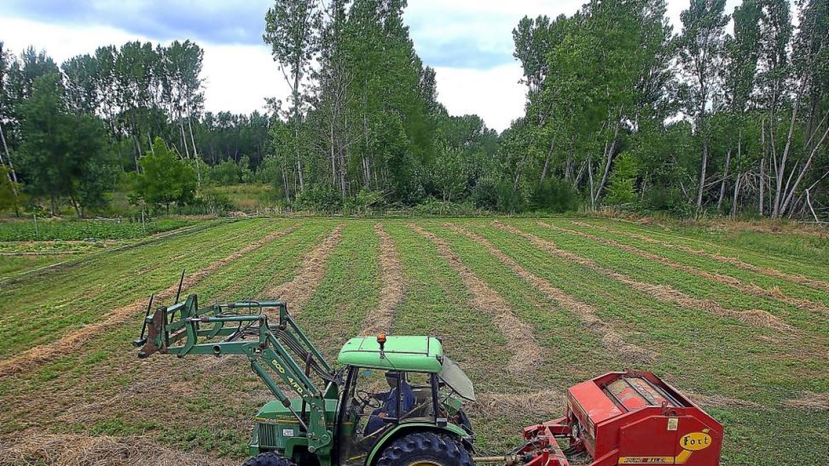 Un agricultor realiza trabajos de empacado de hierba en una finca de Ponferrada.-ICAL