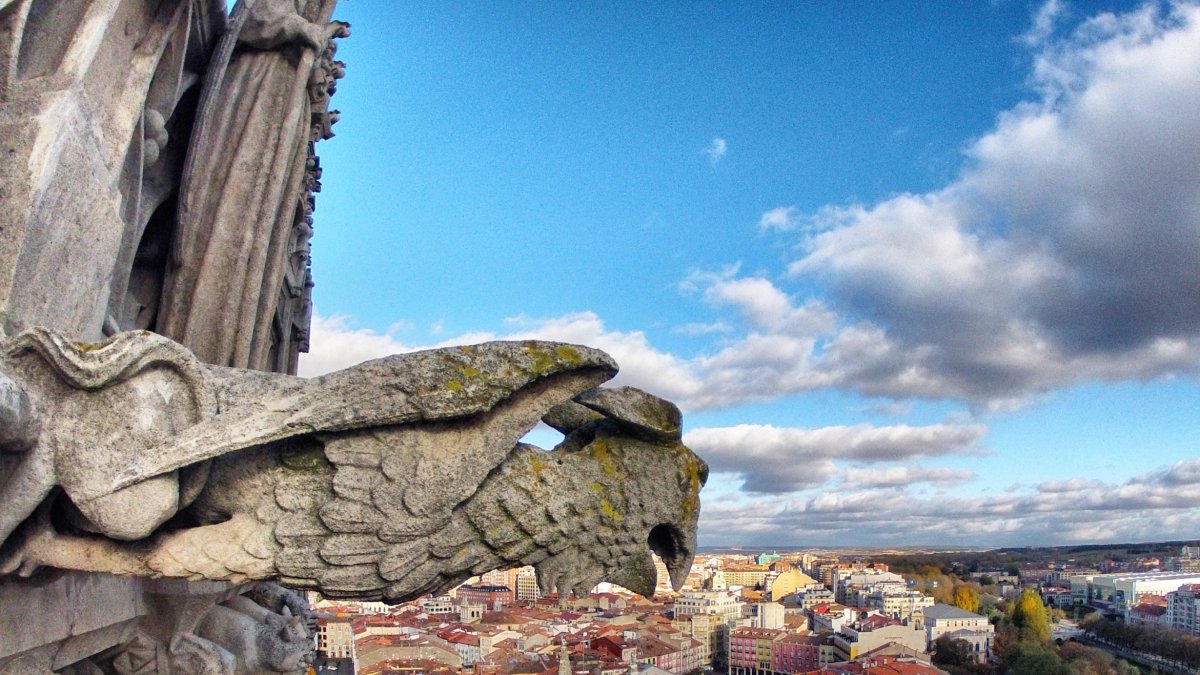 Detalle de una gárgola de la Catedral con la ciudad de fondo. ISRAEL L. MURILLO