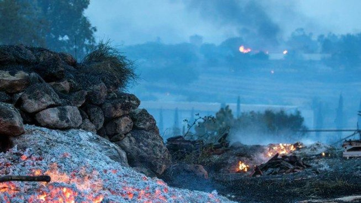 Fuego forestal en Israel.-