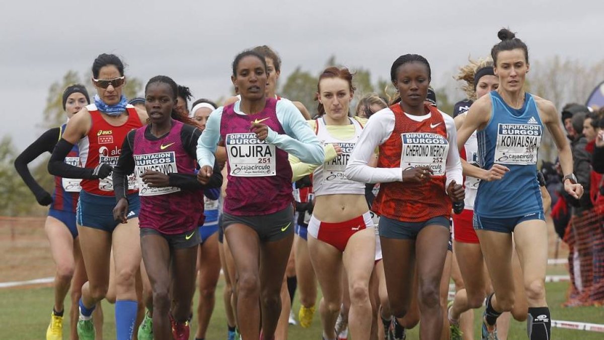 Imagen de la carrera femenina de la edición de 2014.-SANTI OTERO