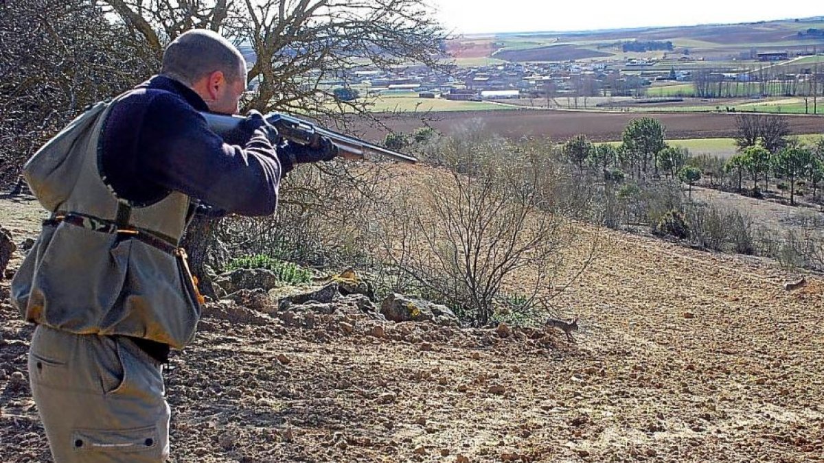 Caza de conejos en la provincia de Valladolid. / LEONARDO DE LA FUENTE