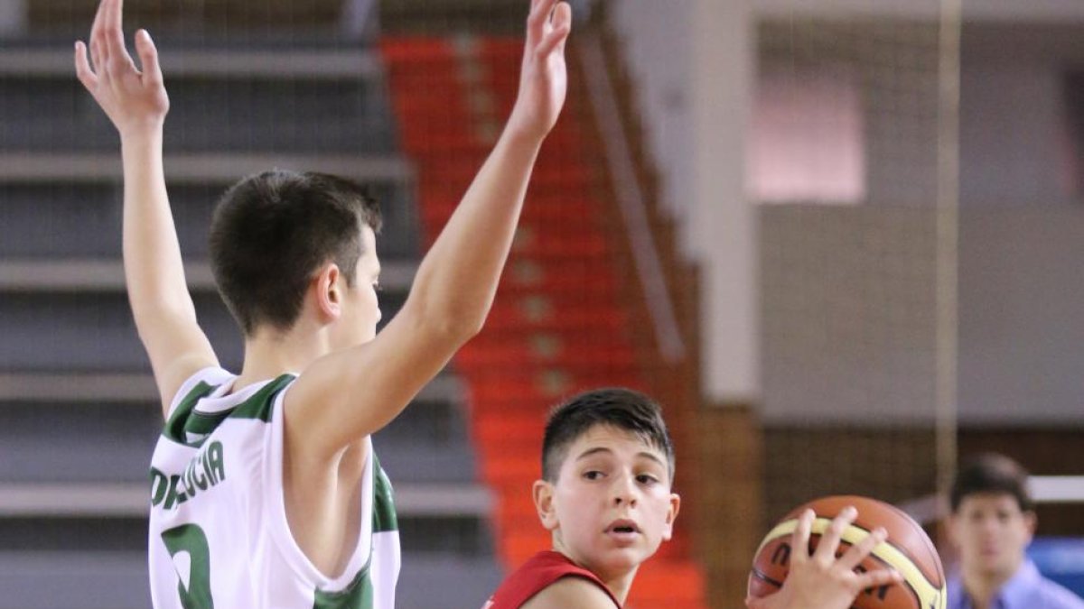 David Arija, jugador infantil del CB Tizona, protege el balón.-FEB