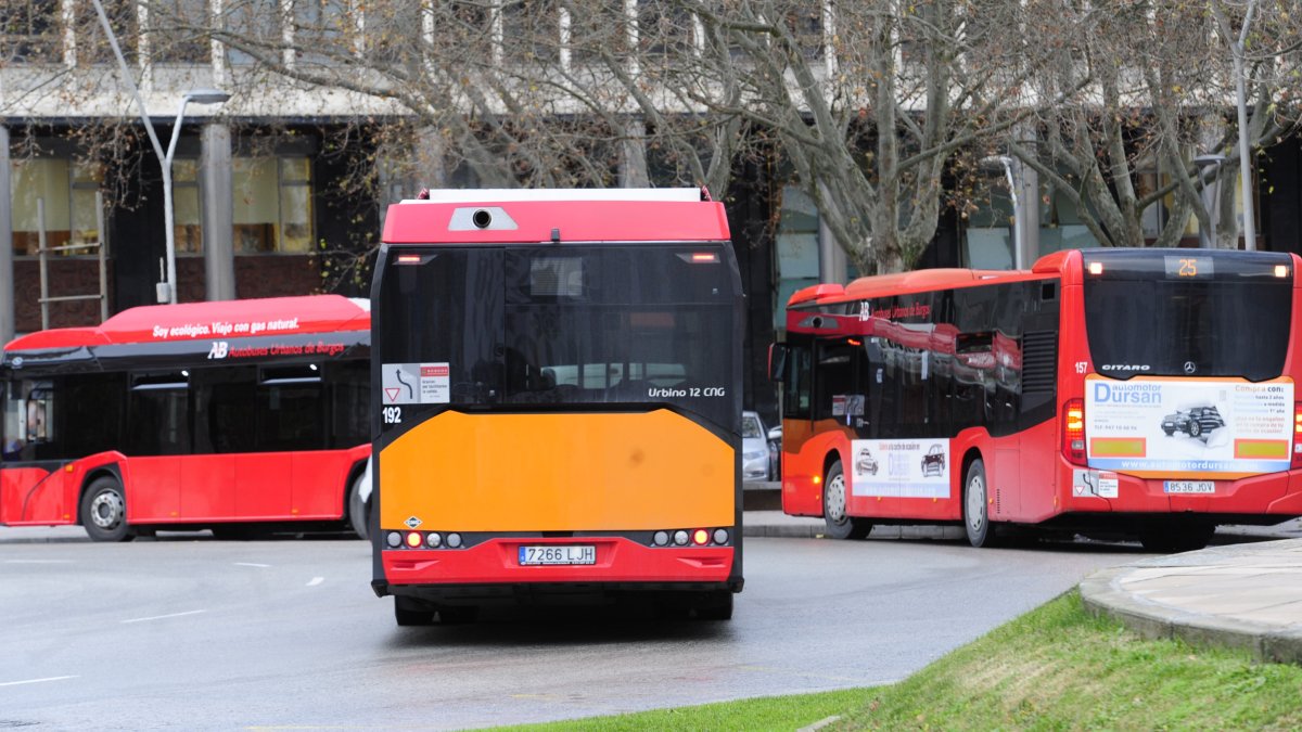 Autobuses urbanos en la Plaza de España. ISRAEL L. MURILLO