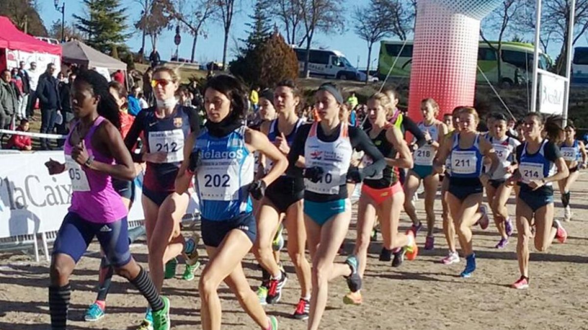 Imagen de la carrera absoluta femenina del Cross de la Constitución, celebrada ayer.-ALBERTO CALVO