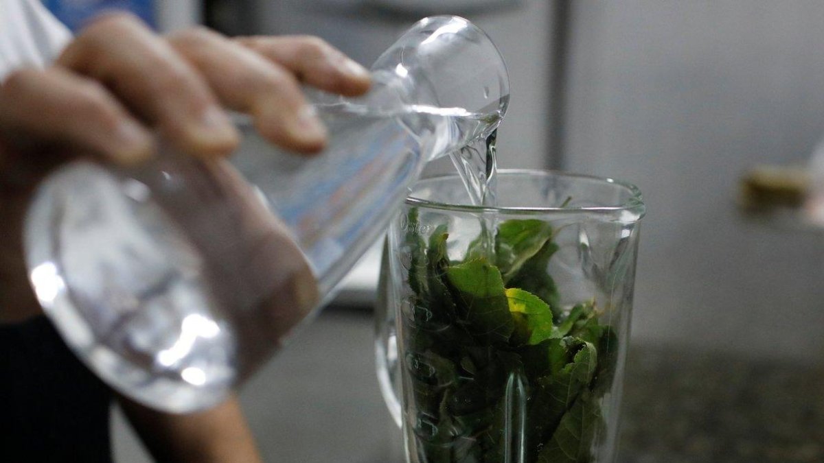 Brebaje listo para ser consumido-MARCO BELLO (REUTERS)
