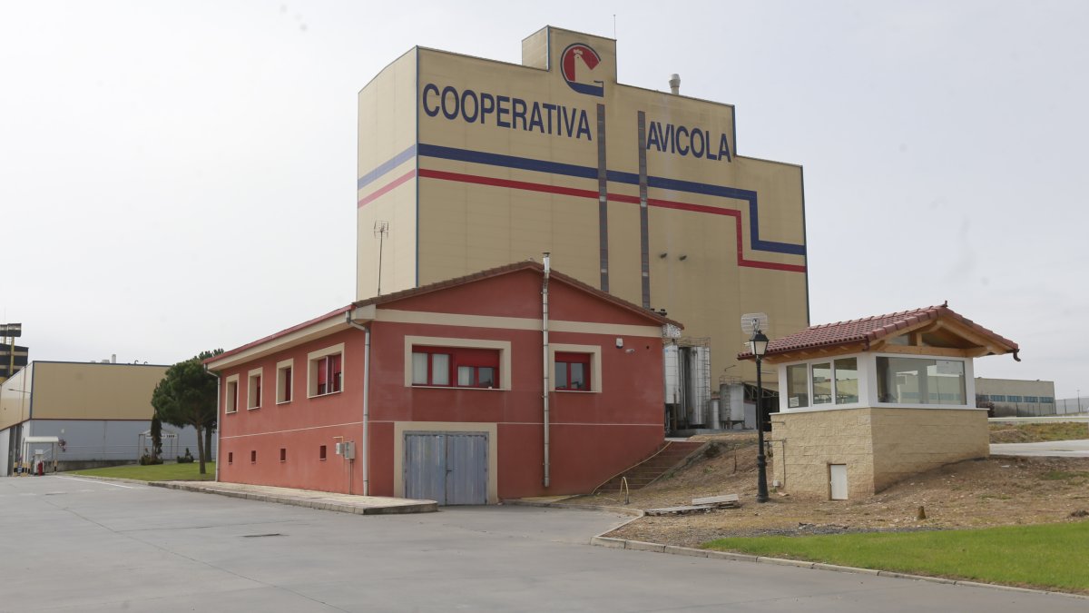 Imagen de la Cooperativa Avícola. RAÚL G. OCHOA