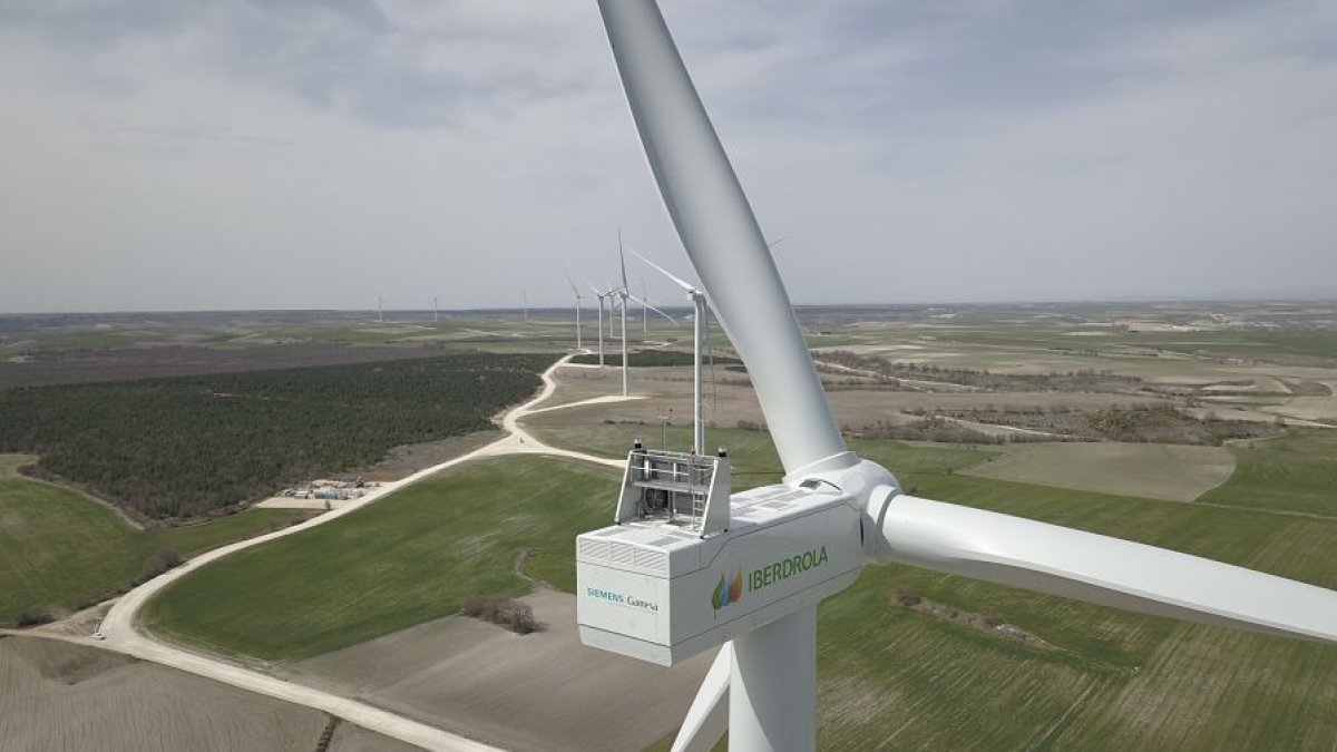 Parque eólico de Iberdrola en la provincia de Burgos. IBERDROLA
