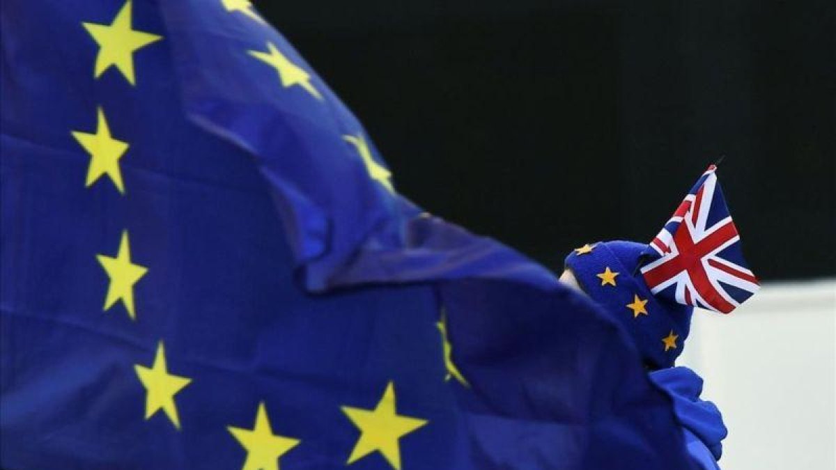 Un manifestante contrario al brexit protesta ante la sede del Parlamento británico, en Londres.-CLODAGH KILCOYNE (REUTERS)