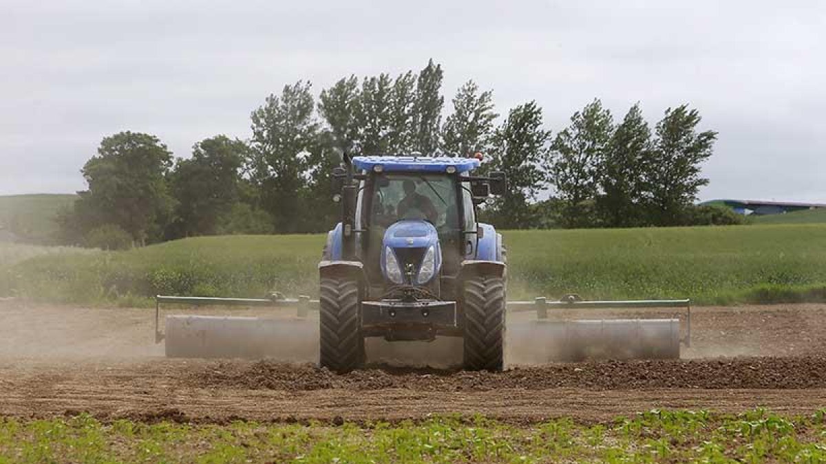 Imagen de un tractor en una tierra de cultivo.-ISRAEL L. MURILLO