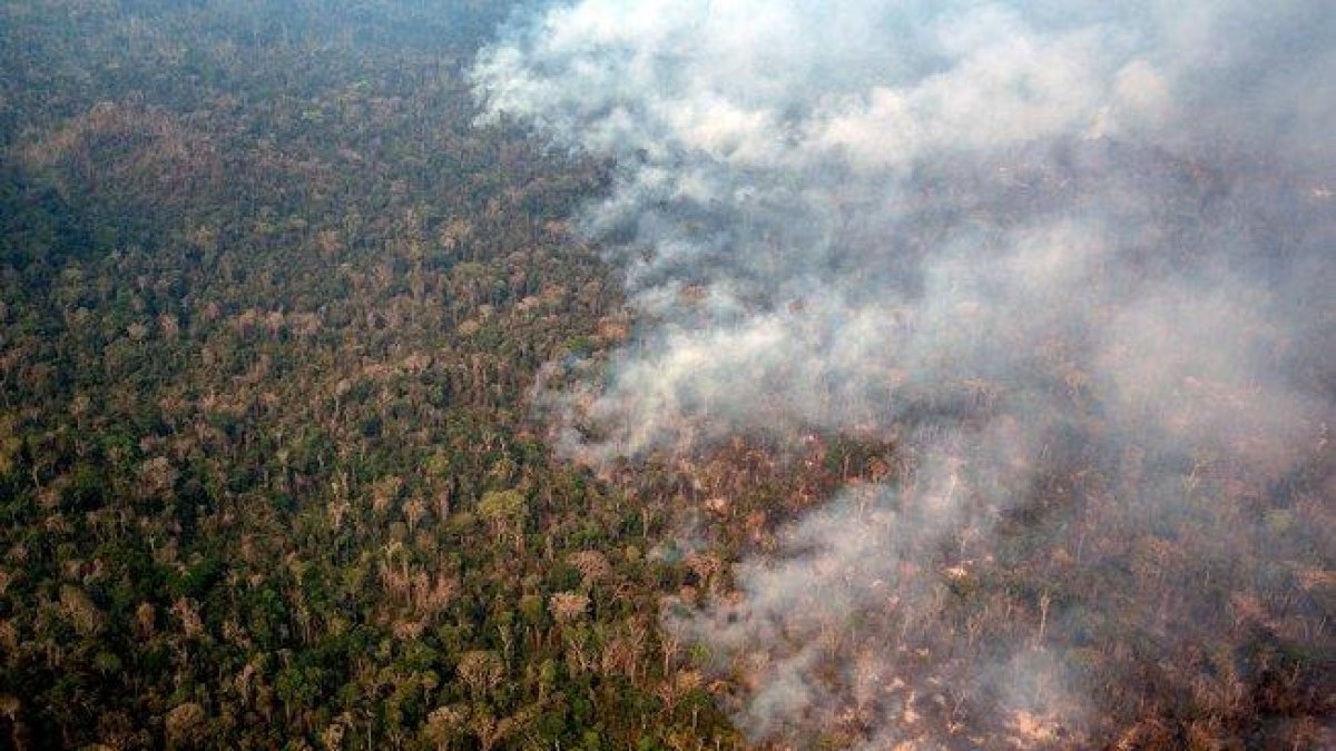 El estado más afectado, con 13.641 focos, es el de Mato Grosso, que se extiende por gran parte de la Amazonía.-