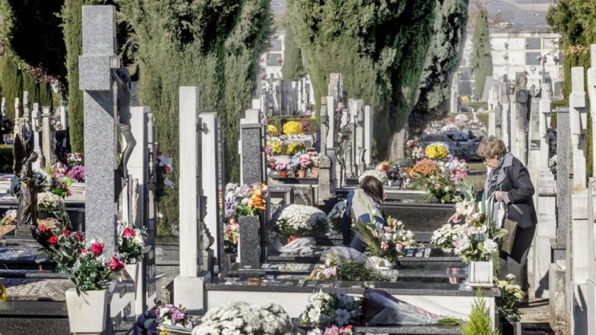 Las flores adornaban, a mediodía de ayer, cientos de sepulturas en el cementerio de San José.-SANTI OTERO