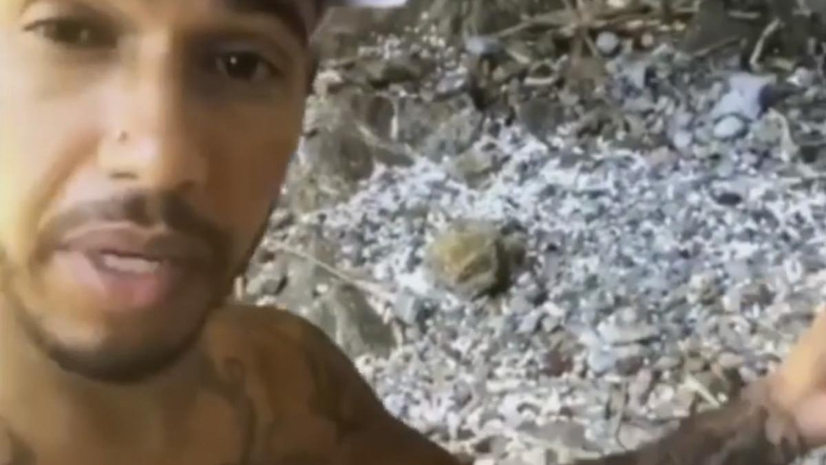 Lewis Hamilton recoge plásticos en una playa /-TWITTER
