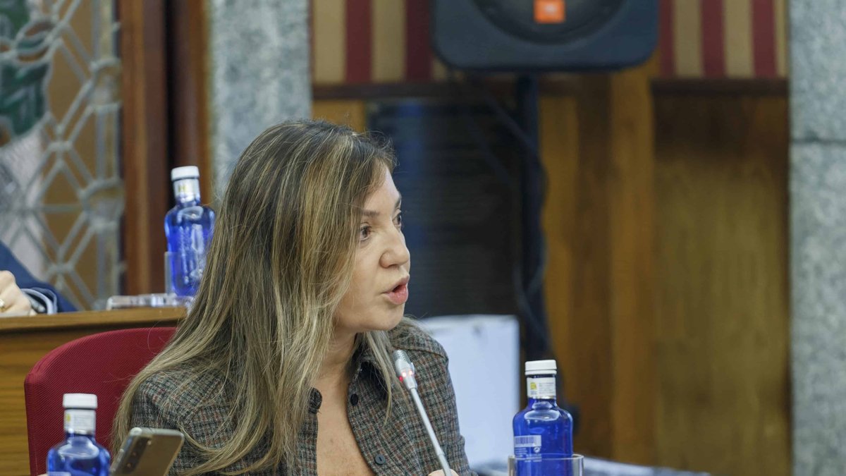 Carolina Blasco, durante el Pleno de aprobación del presupuesto. SANTI OTERO