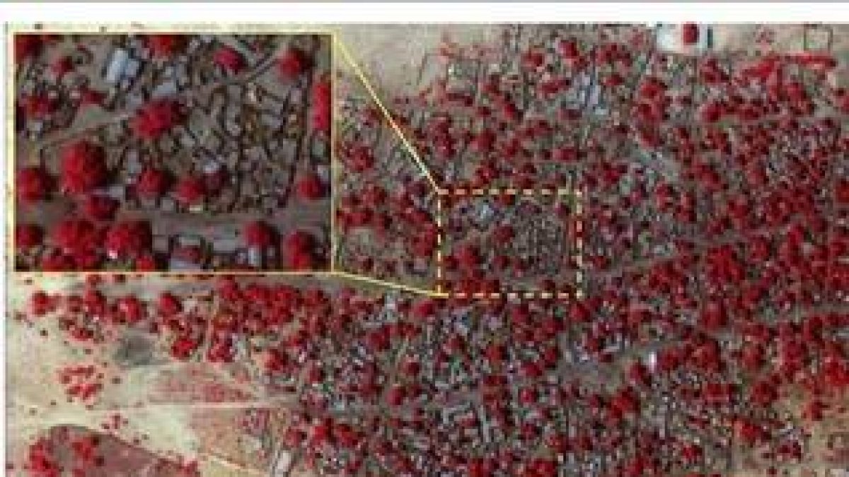 Combo de fotografías por satélite de DigitalGlobal de antes y después del ataque a Baga. Las zonas rojas muestran la vegetación sana.-Foto: EFE / MICHAH FARFOUR