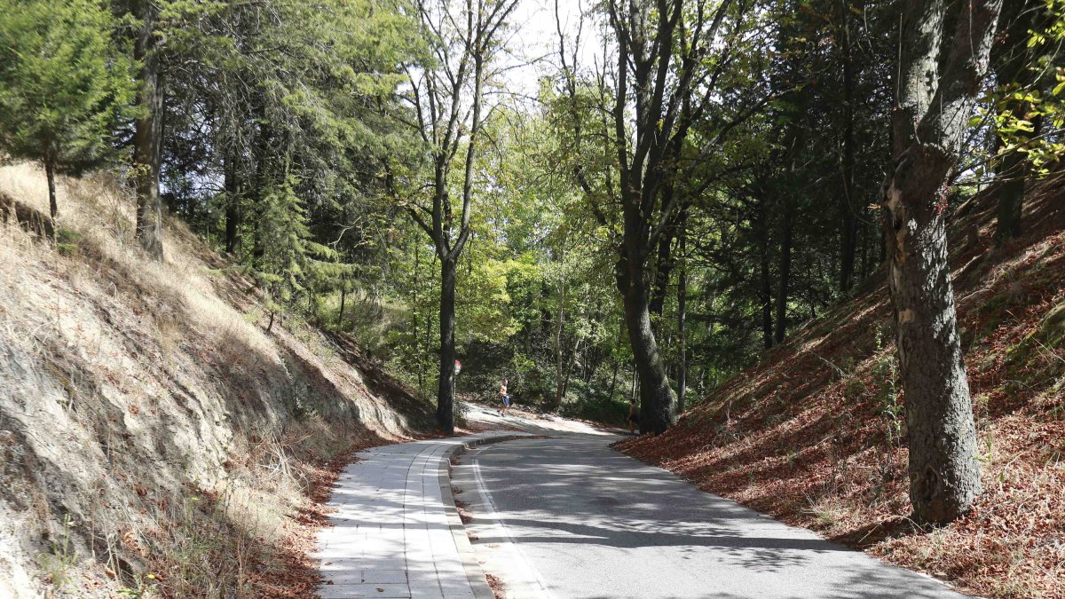 Una vez que la judería sea terreno público se definirá un Plan Director de Excavaciones. R.G.O.