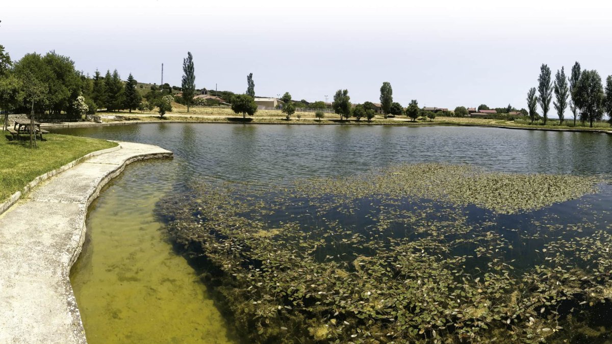 Parece una inofensiva charca, llena de ranas que bebe de las aguas de lluvia y del deshielo. ISRAEL L. MURILLO