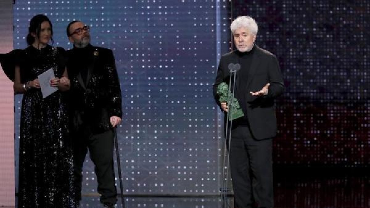 El realizador y guionista Pedro Almodóvar tras recibir el premio a Mejor Guion Original.-EFE / CHEMA MOYA