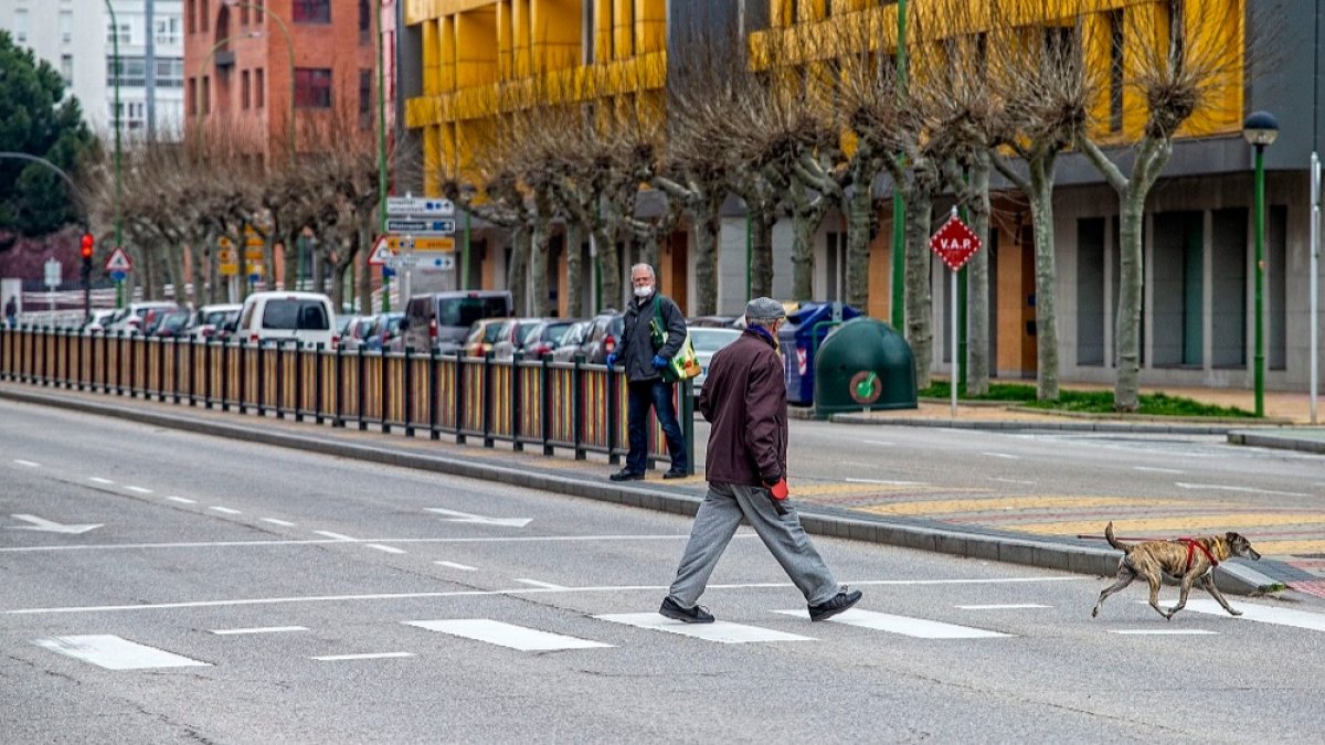 Un hombre camina detrás de su perro en la Avenida de Cantabria, en Burgos. RAÚL OCHOA
