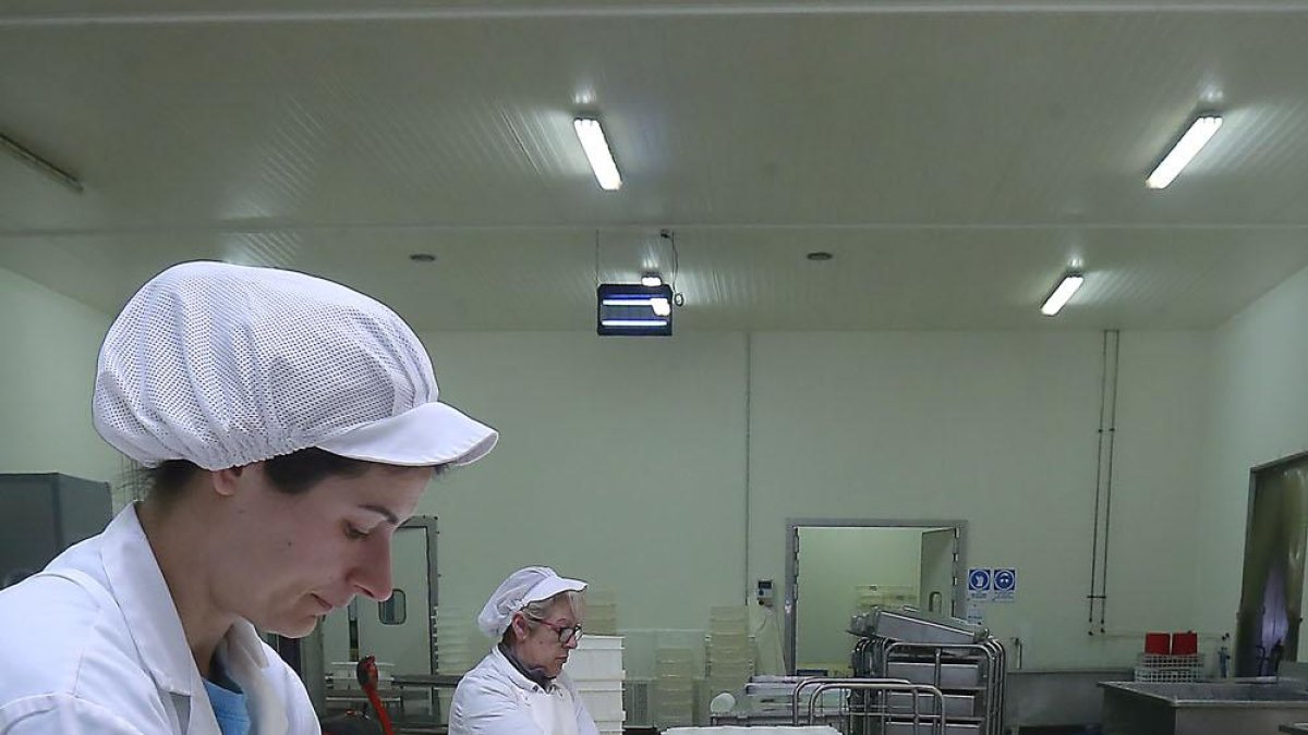 Varias mujeres trabajan en una fábrica de lácteos en un polígono de la provincia.-R. OCHOA