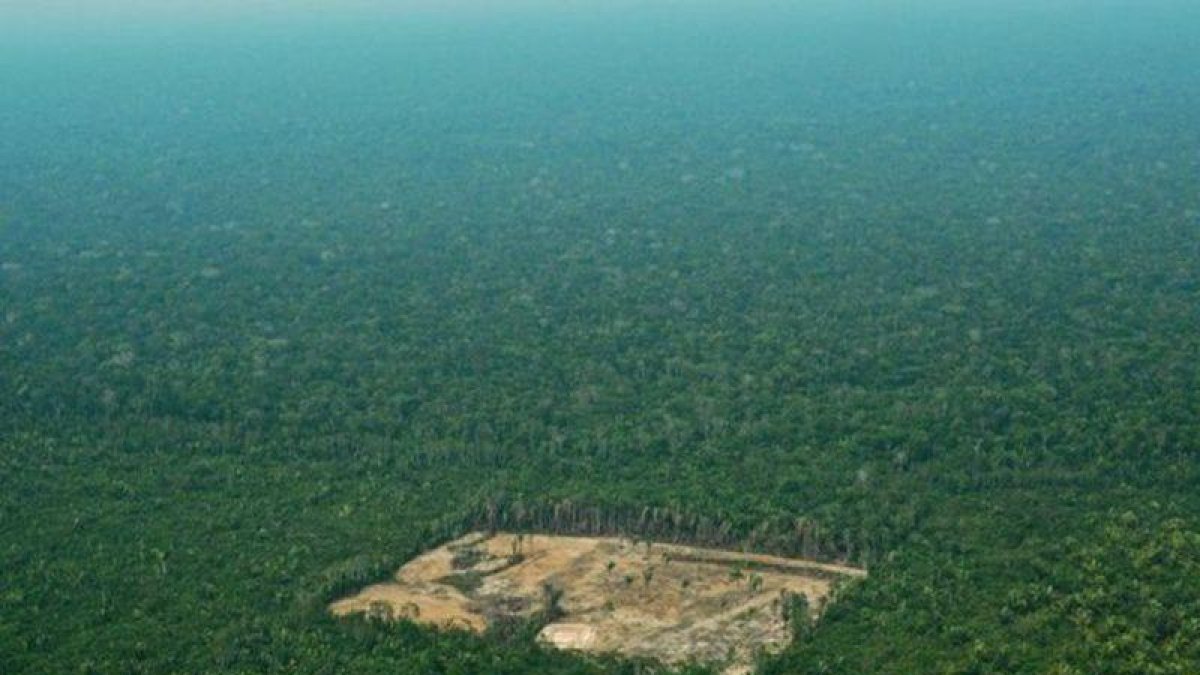 Un terreno deforestado en el estado brasileño de Amazonas.-