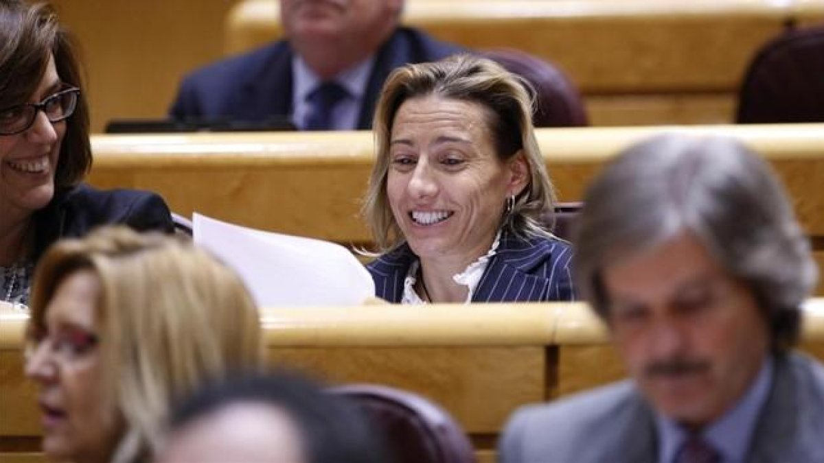 Marta Domínguez, en el senado.-JUAN MANUEL PRATS