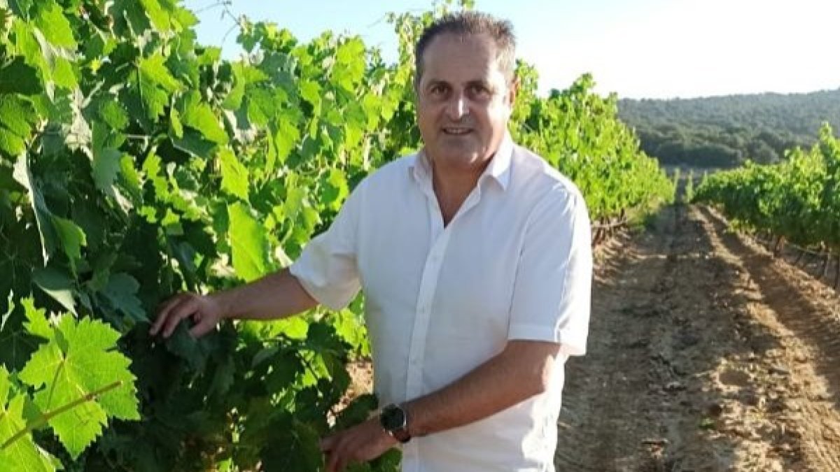 Imagen del presidente de la asociación enológica, José Nuño. L. V.