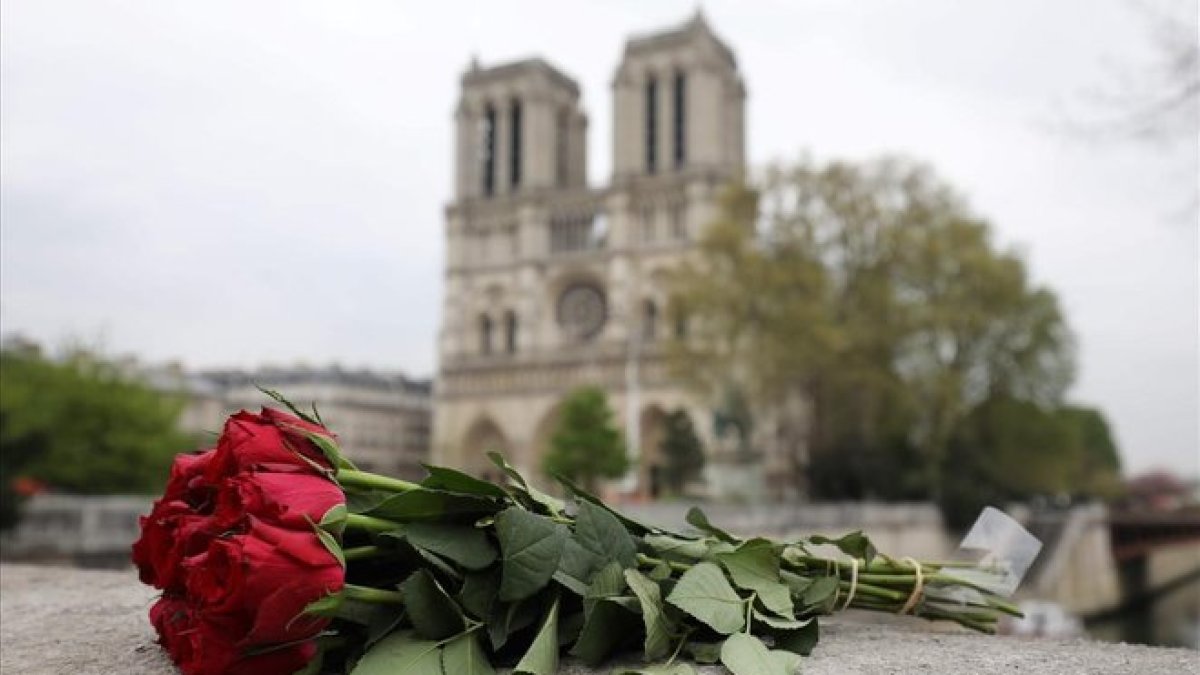 Una rosa depositada cerca de la catedral de Notre Dame, en París, un día después de la catástrofe.-LUDOVIC MARIN (AFP)