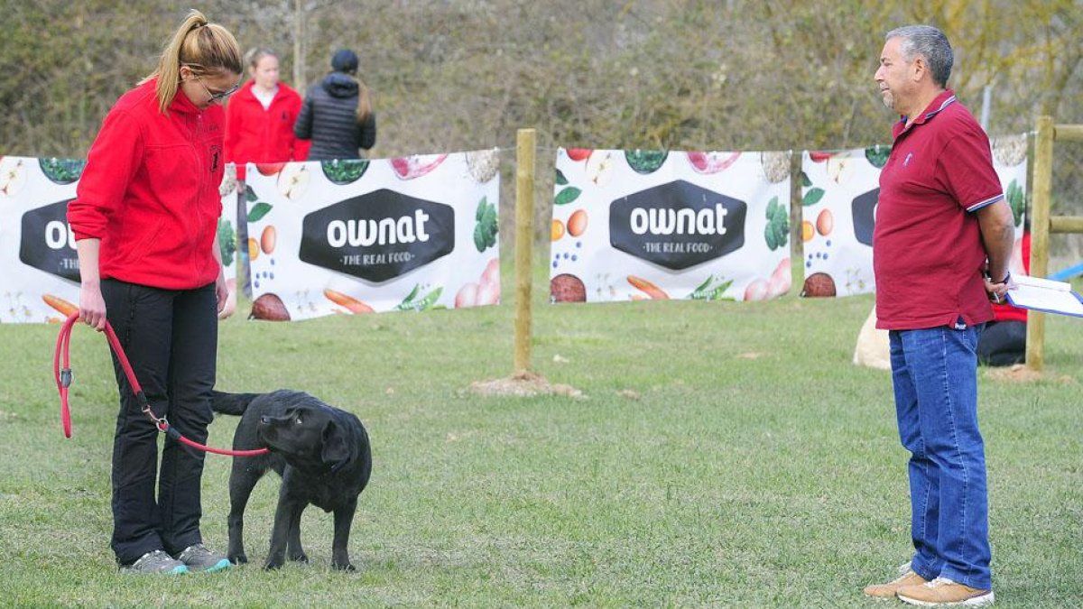 Nueve perros participaron ayer en el test de sociabilidad, prueba de acceso para participar en las competiciones de Obediencia deportiva.-ISRAEL L. MURILLO