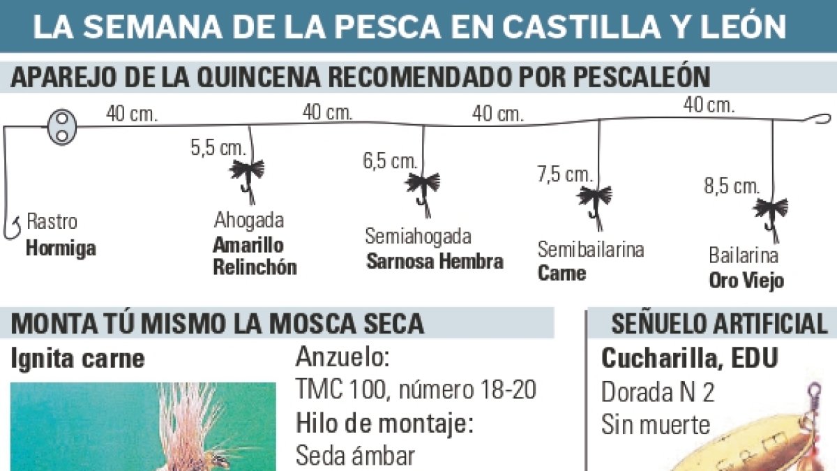 La pesca retorna a la ‘antigua normalidad’