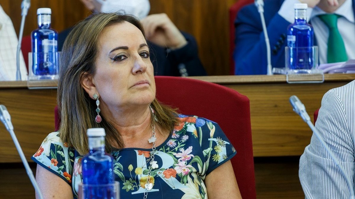 Rosario Pérez Pardo durante una de las sesiones plenarias de esta legislatura. SANTI OTERO
