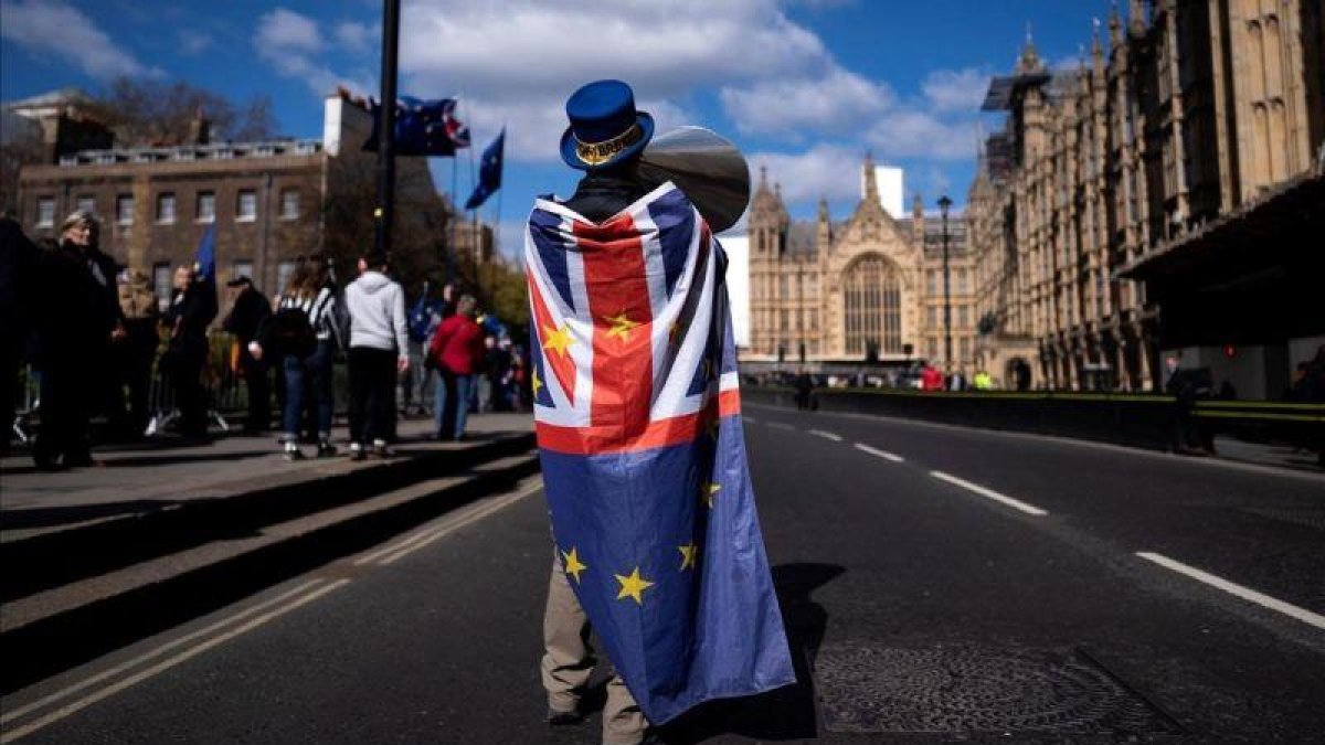 Un activistas pro Unión Europea protesta a las puertas del Parlamento en Londres.-EFE / WILL OLIVER