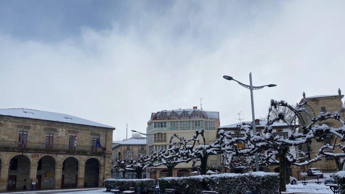 Espinosa de los Monteros. REM