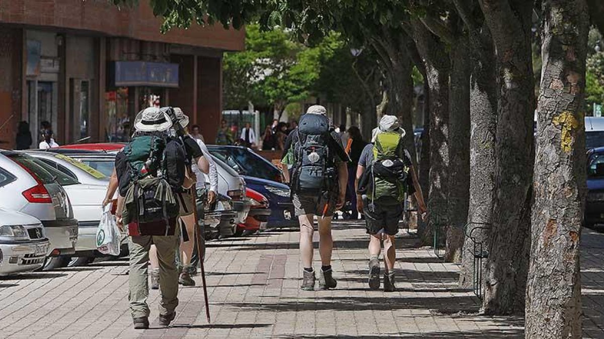 Una pequeña y casi imperceptible flecha amarilla pintada en uno de los árboles de la calle Calzadas guía a los peregrinos hacia el centro de la ciudad.-RAÚL OCHOA