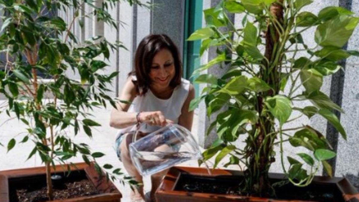 Imagen de Margarita Robles regando unas plantas que colgó en Twitter el Ministerio de Defensa.-TWITTER
