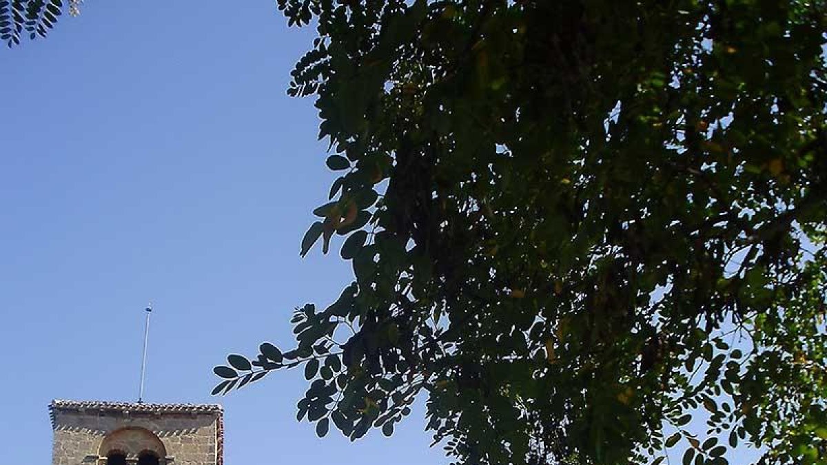 Vista de la iglesia románica con el llamado Árbol de la Provincia a sus pies, una encina plantada en el año 2009.-