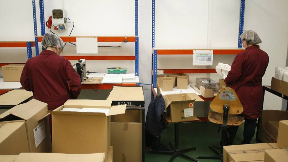 Dos empleadas del centro especial de empleo Servigest, que da trabajo a 96 personas con discapacidad.-Raúl G. Ochoa