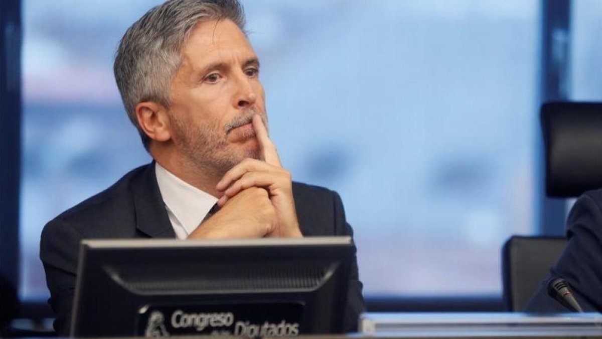 El ministro del Interior, Fernando Grande-Marlaska, durante una comparecencia en el Congreso.-FERNANDO ALVARADO (EFE)