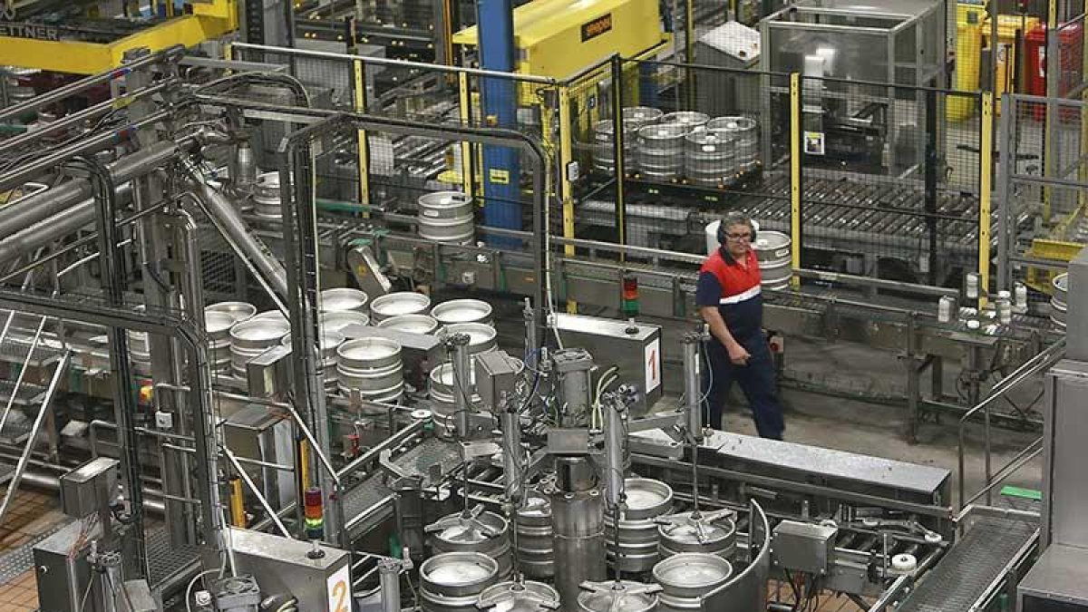 Línea de barril actual y zona donde se dispondrá de la nueva que doblará en capacidad de producción.-RAÚL G. OCHOA