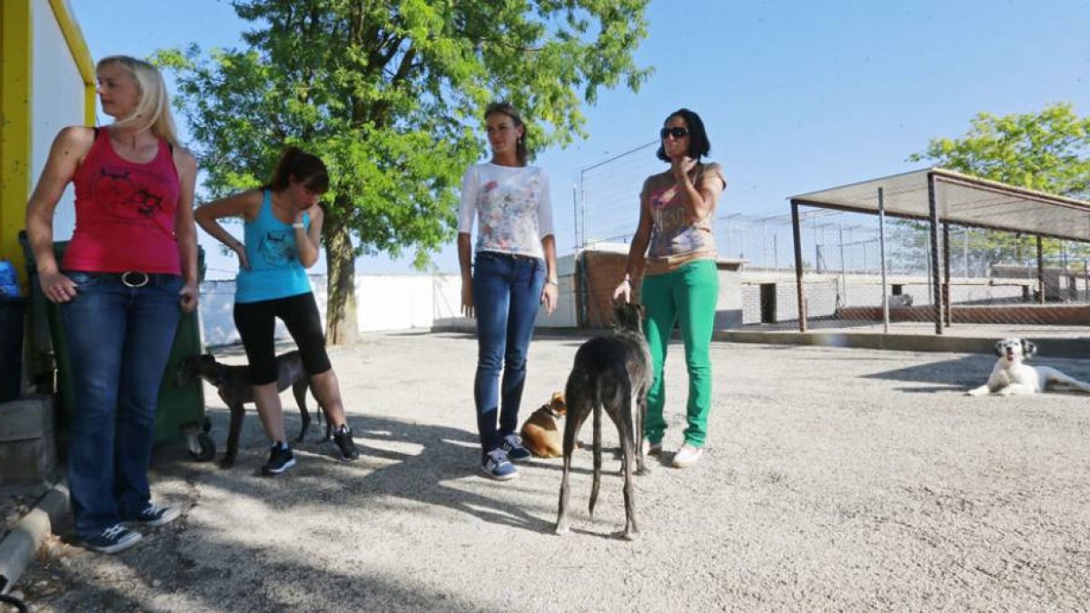 La concejal Lorena de la Fuente, la tercera por la izquierda, charla con los responsables de la Protectora de Animales.-RAÚL G. OCHOA