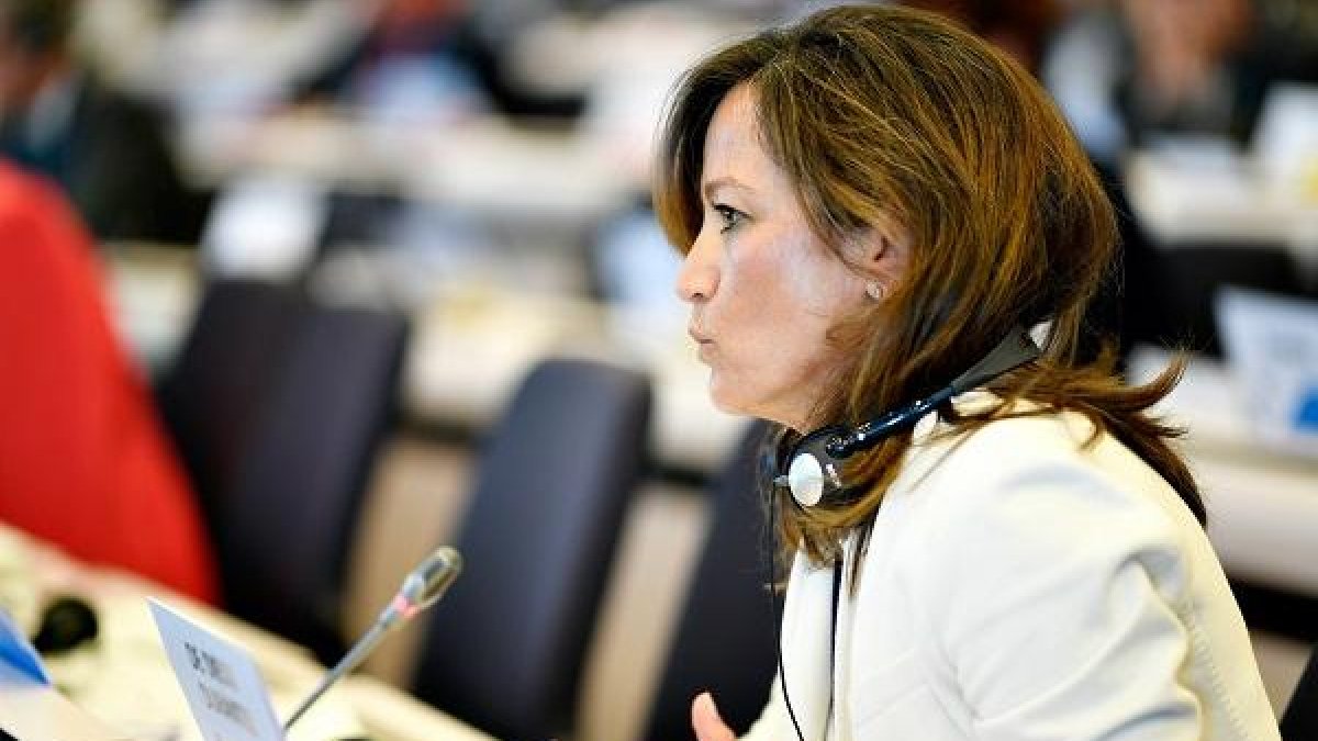 María de Diego interviene en el Comité de las Regiones en Bruselas.-JCYL