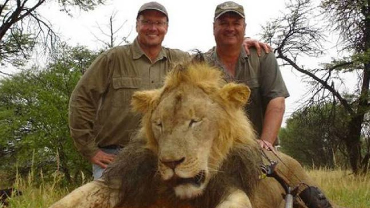 Palmer, a la izquierda de la imagen, junto a otro cazador, y un león abatido años atrás.-Foto: TWITTER