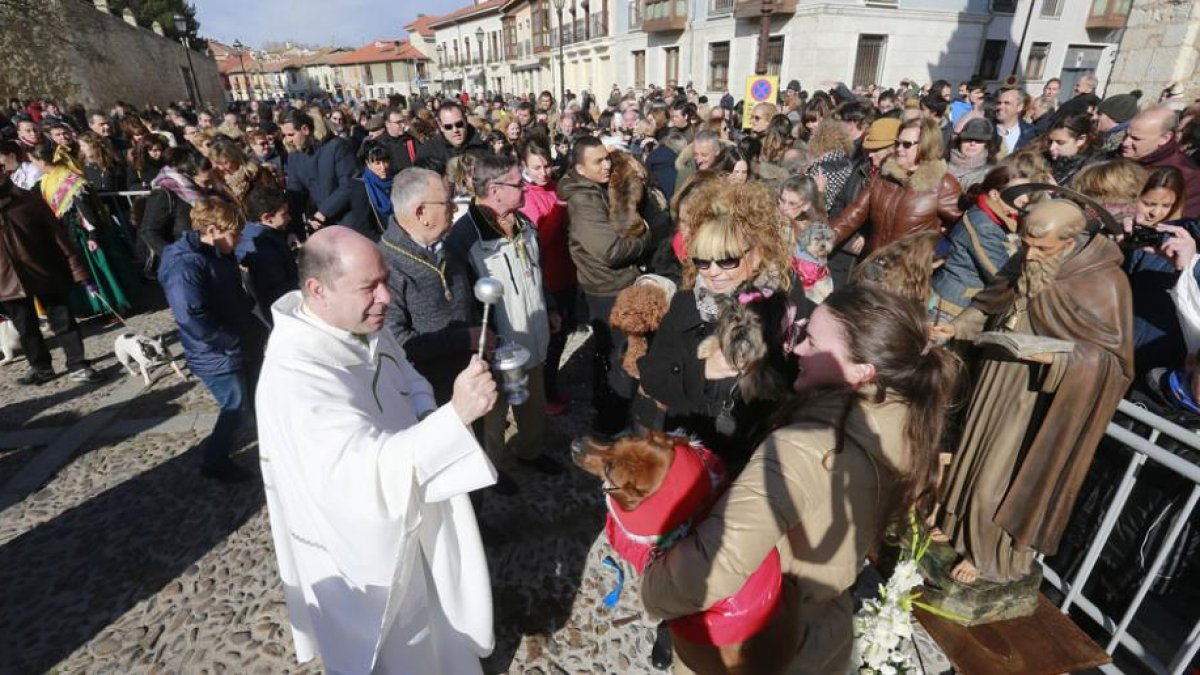 El párroco bendice a los animales que sus dueños portaban en brazos, ante la imagen del santo.-RAÚL OCHOA