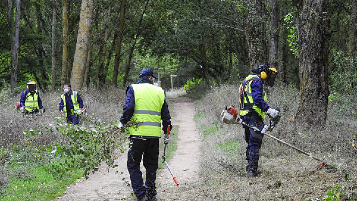Un grupo de operarios adecenta el acceso al Humedal de Fuentes Blancas, una de las tareas realizadas durante 2020. ISRAEL L. MURILLO