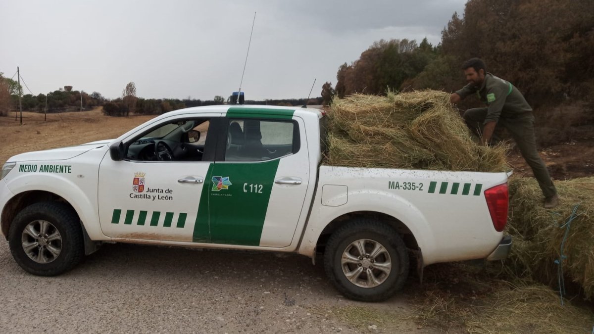 La Junta de Castilla y León ha comenzado el reparto de pacas de alfalfa en la comarca del Arlanza. ECB