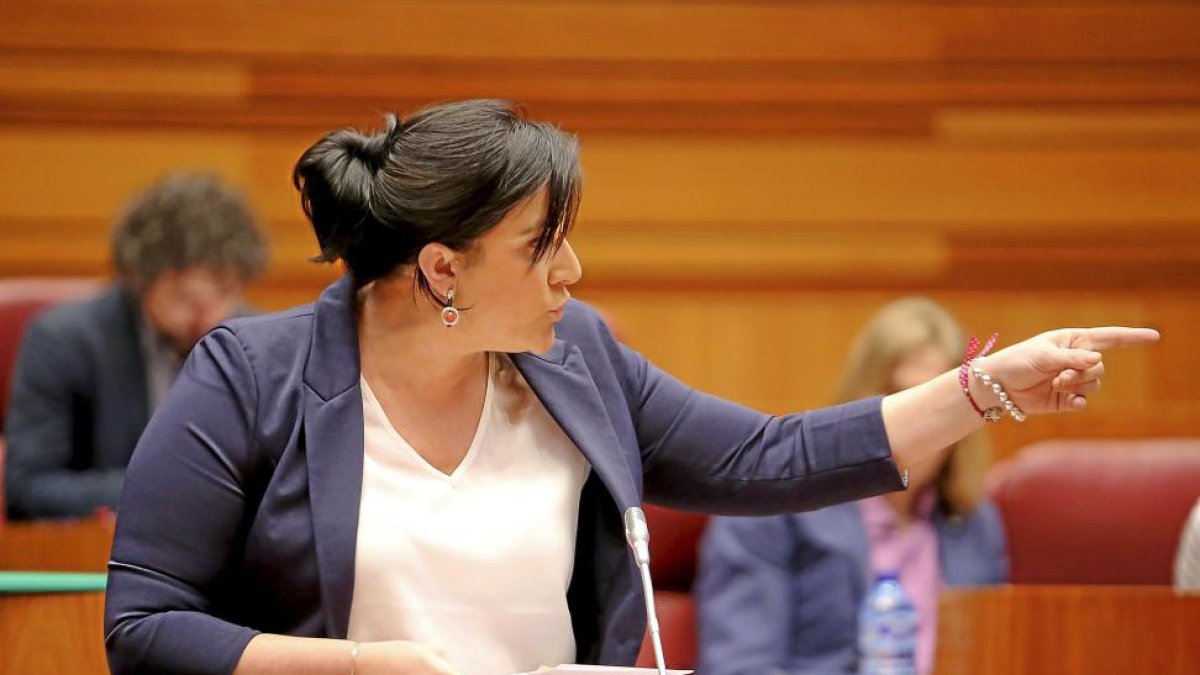 Ana Sánchez dirigiéndose al Ejecutivo para pedir el cese del consejero de Sanidad.-JAVIER BARBANCHO