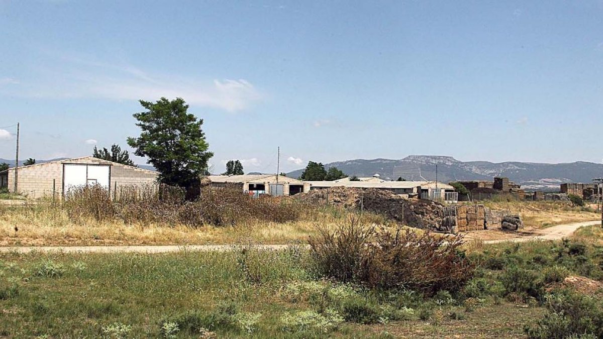 La macroexplotación se ubicaría en la finca de El Moscadero, a escasos 500 metros del casco urbano de la localidad.-G.G.