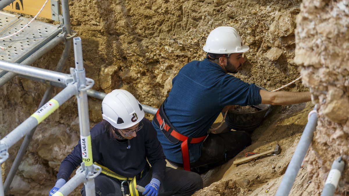 Zona de pendiente. Nivel 7 Elefante de unos 1,4 millones de años. SANTI OTERO