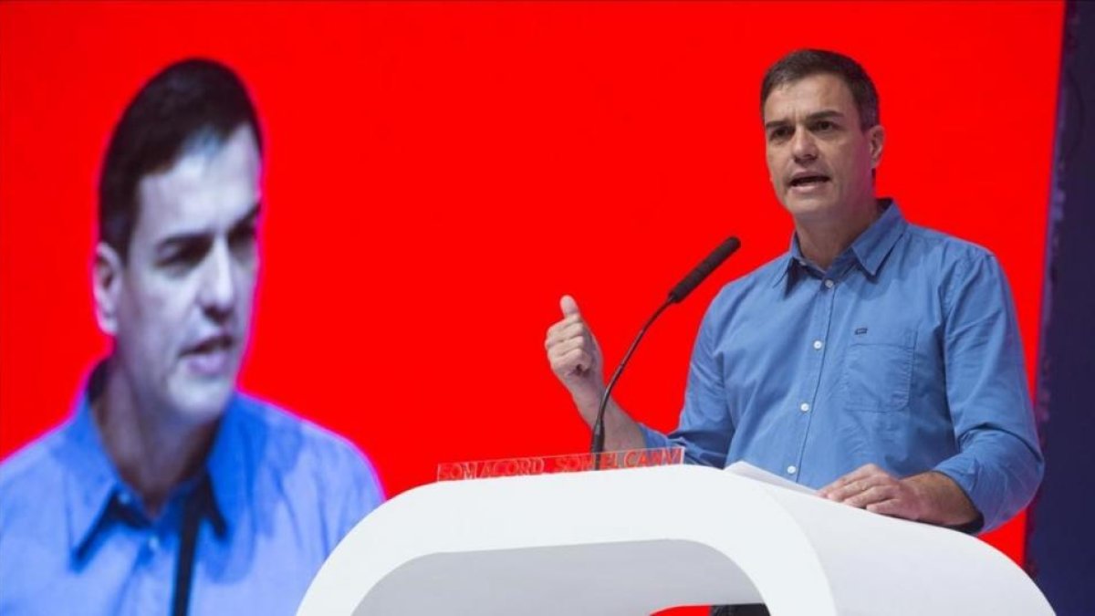 Pedro Sánchez, el pasado 15 de julio-ELISENDA PONS