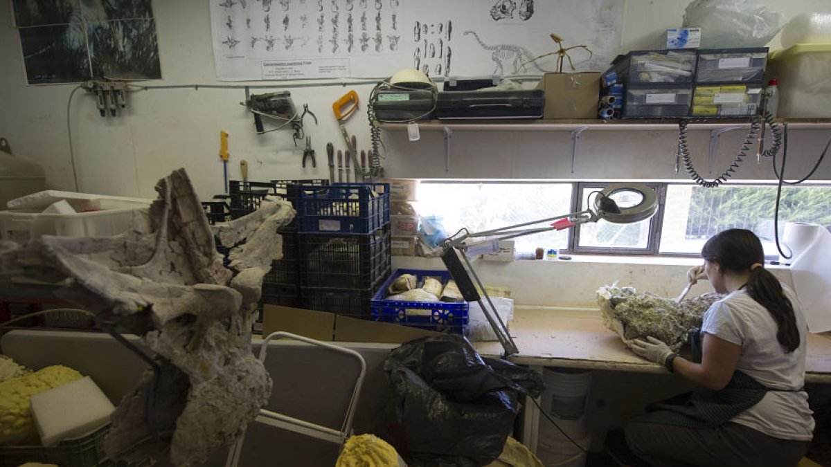 Esta es la zona de trabajo de la conservadora del Museo de los Dinosaurios de Salas, donde apenas dispone de espacio para su labor ni para el almacenamiento de los fósiles. I. L. M.